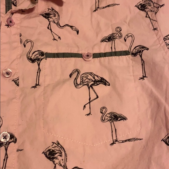 Sunset Kingdom Button Down - Picture 2 of 3